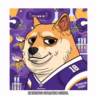Shiba Inu Football GIF by Doge Pound