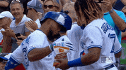 Major League Baseball Sport GIF by MLB