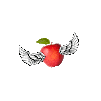ballston quarter apple Sticker