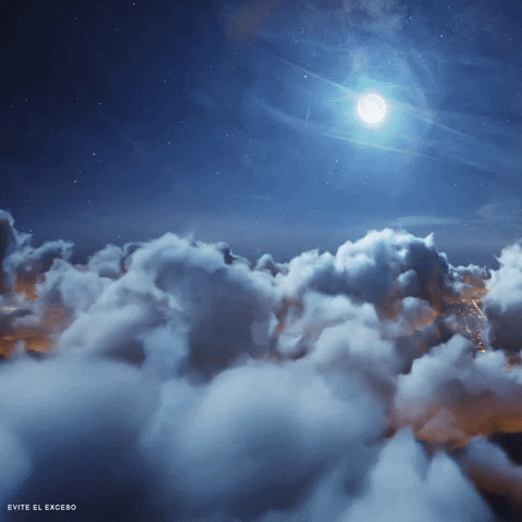 BrandyPresidente_MX giphyupload super fiesta amigos GIF