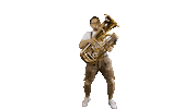 Hk Tuba Sticker by hundskrippln