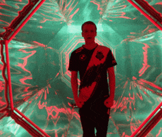 Screaming League Of Legends GIF by G2 Esports