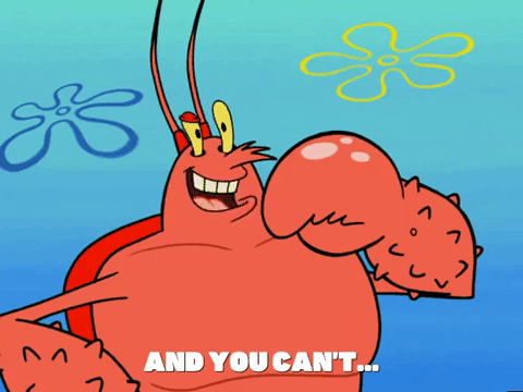 season 6 GIF by SpongeBob SquarePants