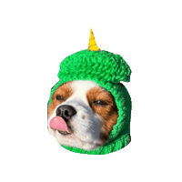 Dogs Love Sticker