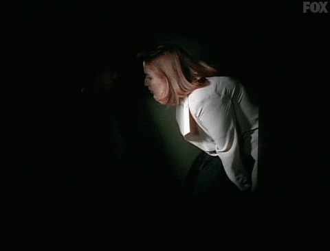 x files GIF by The X-Files