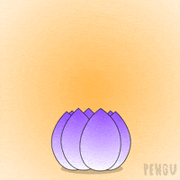 Rising Good Morning GIF by Pudgy Penguins