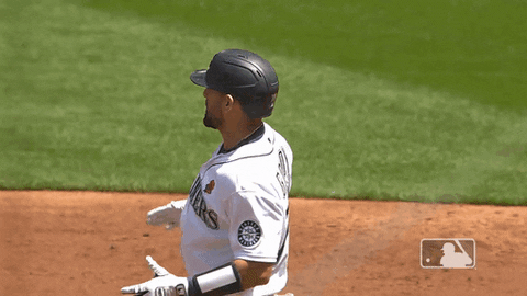 Regular Season Sport GIF by MLB