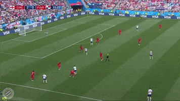 world cup england GIF by nss sports