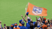 Lets Go Mets GIF by The 7 Line