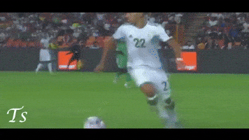 Senegal Algeria GIF by nss sports