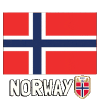 World Cup Football Sticker by Pudgy Penguins