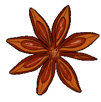 Star Anise Sticker Sticker