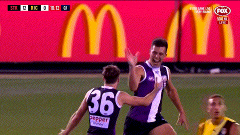 Aussie Rules Celebrations GIF by AFL