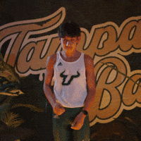 South Florida Horns Up GIF by USF Athletics
