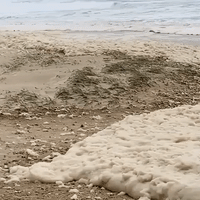Sea Foam Collects on New South Wales Beach After Storms