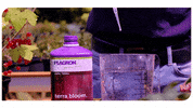 Bloom Grow GIF by Plagron