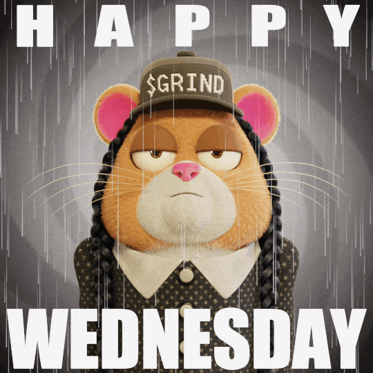 Wednesday Hamster GIF by Grind