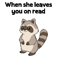 Raccoon Ghosting Sticker by Ordinary Frends