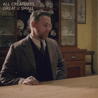 allcreaturestv animals tea cup mug GIF