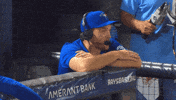 Blue Jays Baseball GIF by Toronto Blue Jays