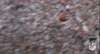 dallas cowboys football GIF by NFL