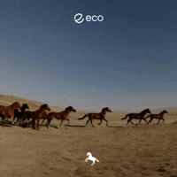 Uts GIF by Eco