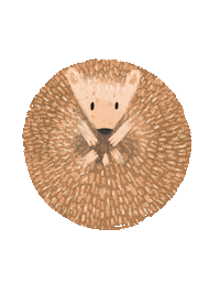 Pet Hedgehog Sticker by rileyalwayssmiley