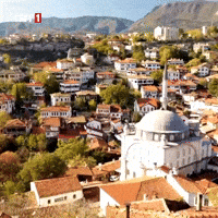 Forest Town GIF by TRT