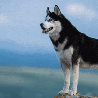 buyinpa remax centre realtors GIF