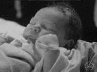 open knowledge vintage GIF by Okkult Motion Pictures