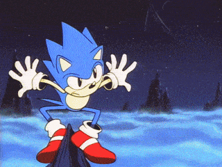 Sonic The Hedgehog Kick GIF