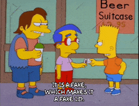 bart simpson episode 20 GIF