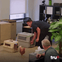 chicken run away GIF by truTV’s Impractical Jokers