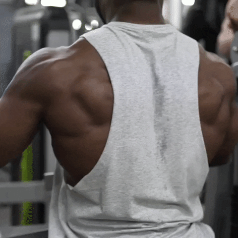 back muscles GIF by Gymshark