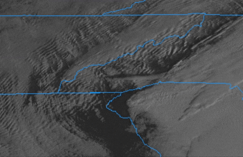 baroowoofr giphyupload GIF