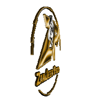 Logo Recording Sticker by ZanJeer Prod
