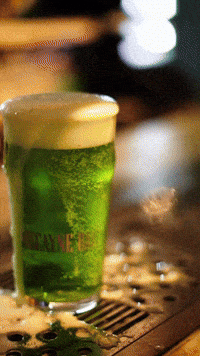 GIF by Biscayne Bay Brewing
