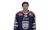 Celebration Goal Sticker by Fehervar AV19