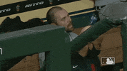 Regular Season Baseball GIF by MLB