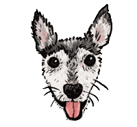 Dog Sticker
