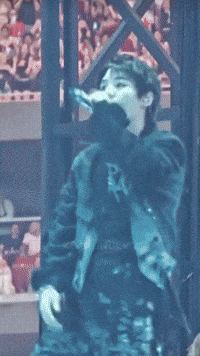 World Tour Arirang GIF