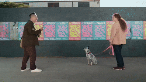 nmyron giphyupload GIF