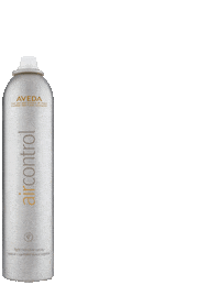 air control hair Sticker by Aveda