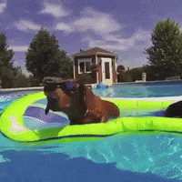 fashion app GIF by The Videobook