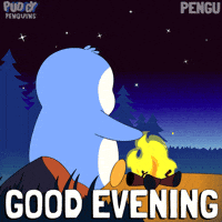 Camping Good Night GIF by Pudgy Penguins