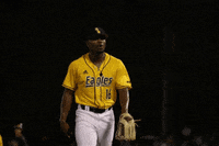 SouthernMissAthletics baseball lets go pitcher golden eagles GIF