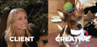 takethreestudio creative designer client guillermo GIF