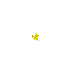 Bee Springtime Sticker by HANS IM GLÜCK