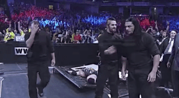 the shield wrestling GIF by WWE