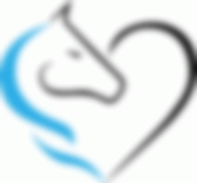 laselleriaonline giphyupload horse western ranch GIF